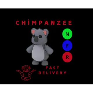 KOALA NFR