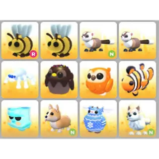 BUNDLE PET X12