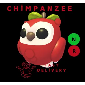 APPLE OWL NR