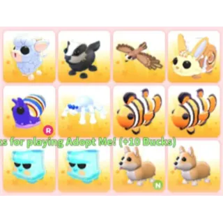 BUNDLE PET X12
