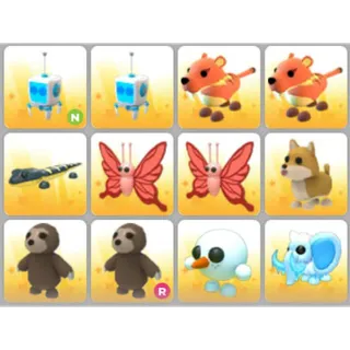 BUNDLE PET X12