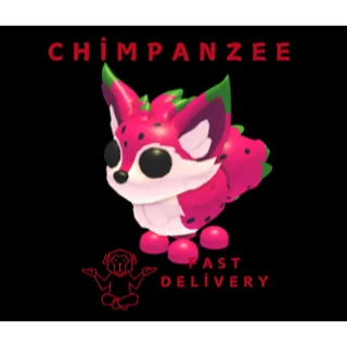 DRAGONFRUIT FOX