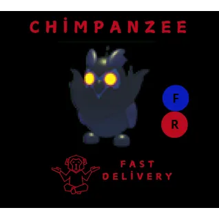 Nightmare Owl FR