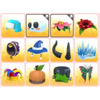 BUNDLE PET WEAR X12