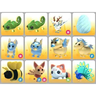 BUNDLE PET X12