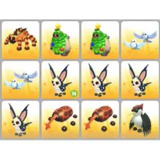 BUNDLE PET X12