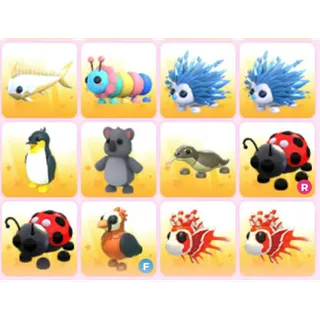 BUNDLE PET X12
