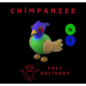 Green-Chested Pheasant NF