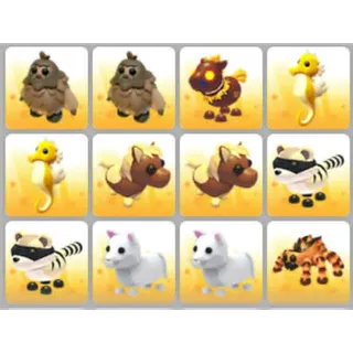 BUNDLE PET X12