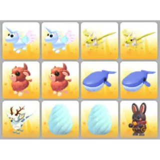 BUNDLE PET X12