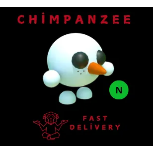 snowball pet NEON