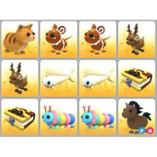 BUNDLE PET X12