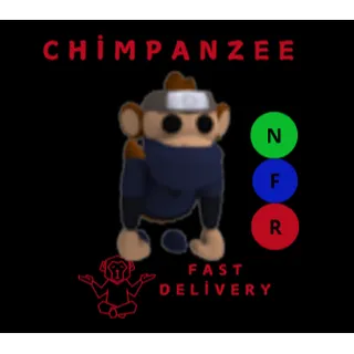 NINJA MONKEY NFR
