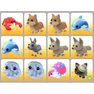BUNDLE PET X12