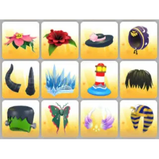 BUNDLE PET WEAR X12