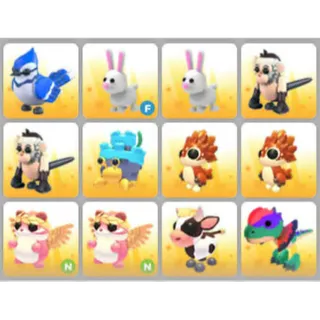 BUNDLE PET X12