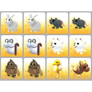 BUNDLE PET X12