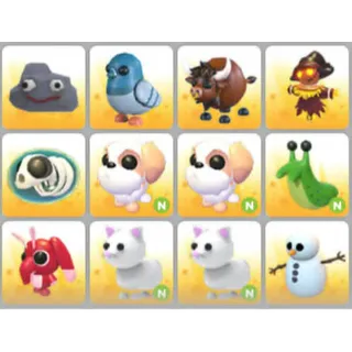 BUNDLE PET X12