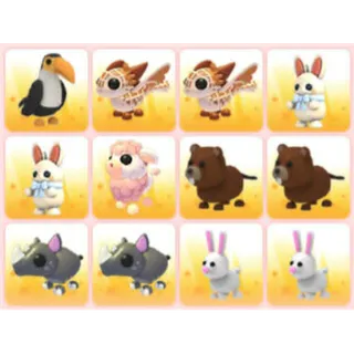BUNDLE PET X12