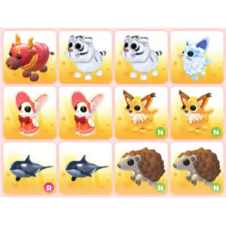 BUNDLE PET X12
