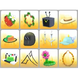 BUNDLE PET WEAR X12