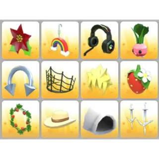 BUNDLE PET WEAR X12