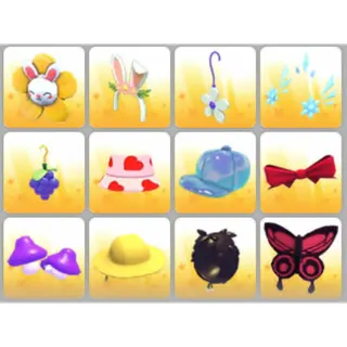 BUNDLE PET WEAR X12