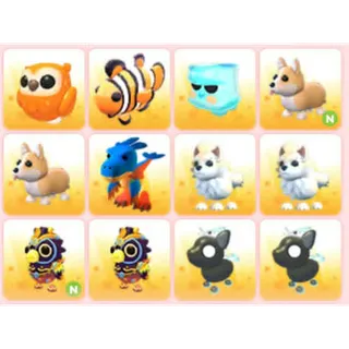 BUNDLE PET X12