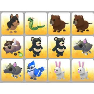 BUNDLE PET X12