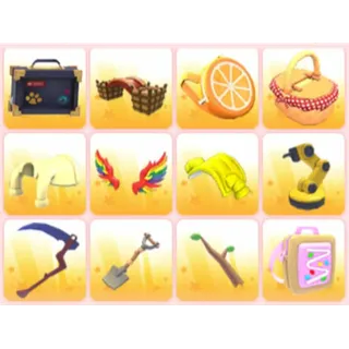 BUNDLE PET WEAR X12