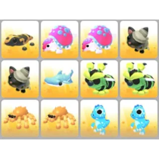 BUNDLE PET X12