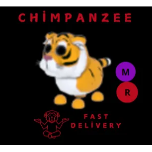 LUNAR TIGER MR