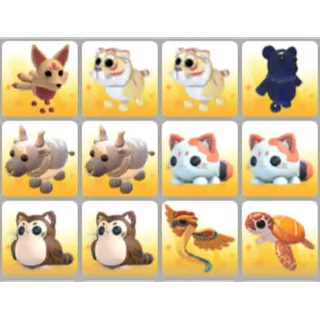 BUNDLE PET X12
