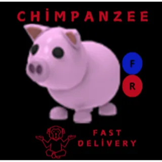 PIG FR