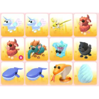 BUNDLE PET X12