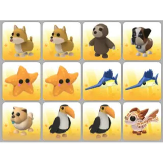 BUNDLE PET X12