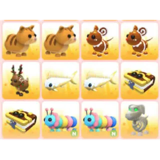 BUNDLE PET X12
