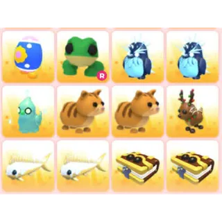 BUNDLE PET X12
