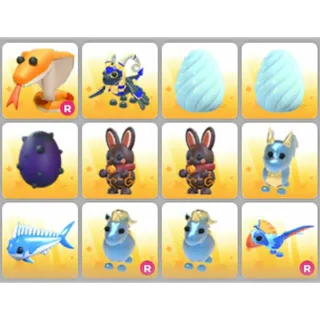 BUNDLE PET X12