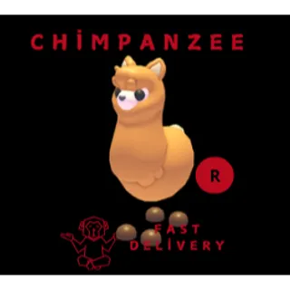 ALPACA R