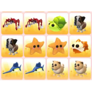 BUNDLE PET X12