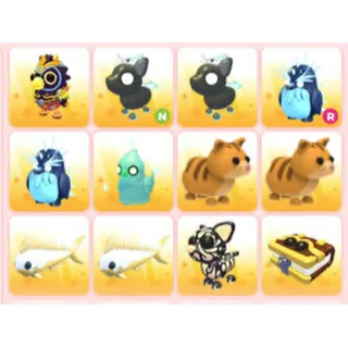 BUNDLE PET X12