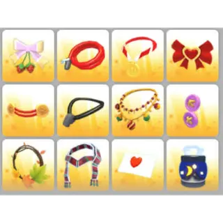 BUNDLE PET WEAR X12