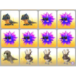 BUNDLE PET X12