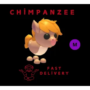 SHOW PONY MEGA
