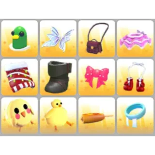 BUNDLE PET WEAR X12