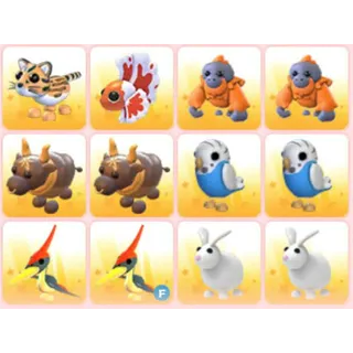 BUNDLE PET X12