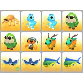 BUNDLE PET X12