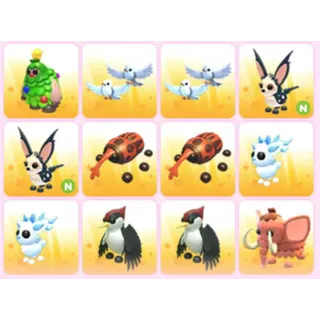 BUNDLE PET X12