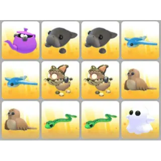 BUNDLE PET X12